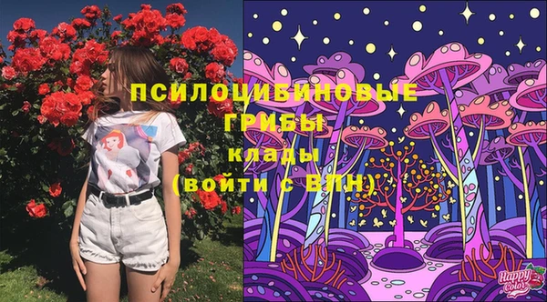 прущие крисы Бугульма