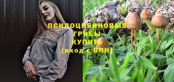 прущие крисы Бугульма