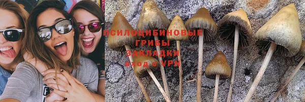 прущие крисы Бугульма