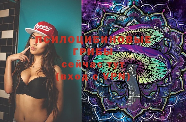 синтетический гашиш Бородино